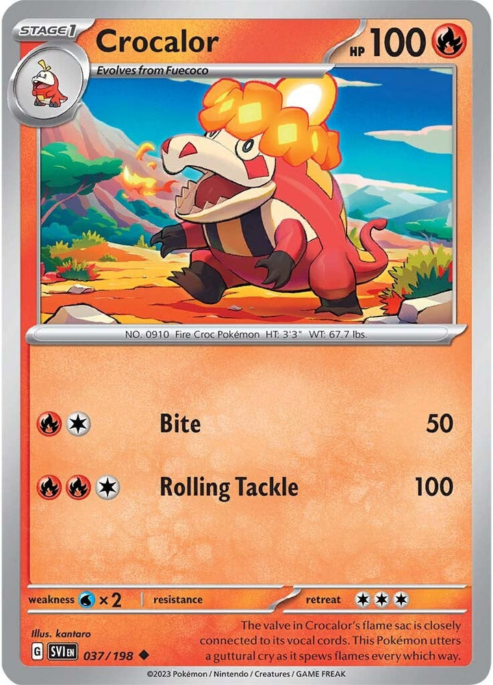 45193384
