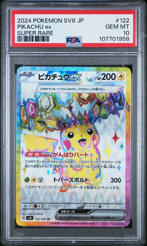 44565540