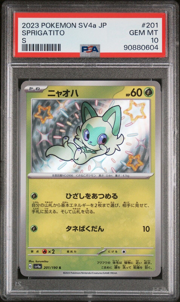 41740604
