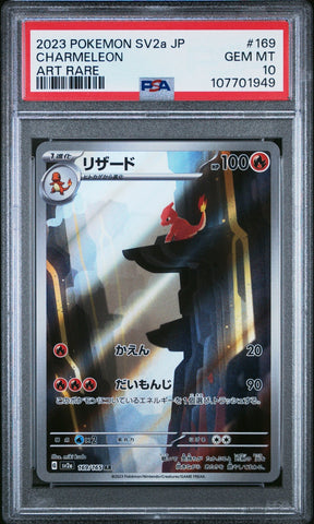 44569315