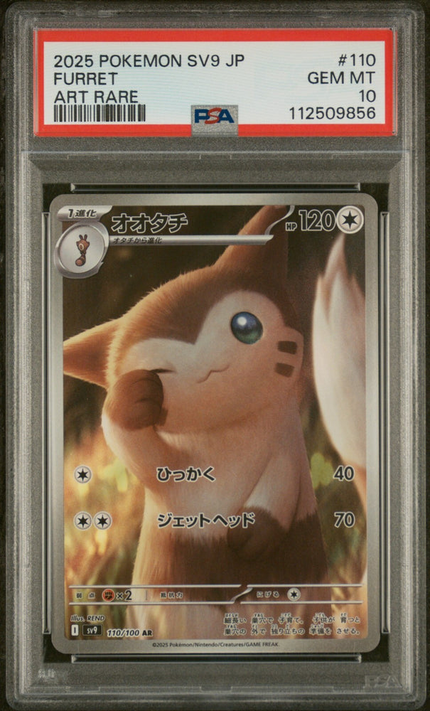 44886504