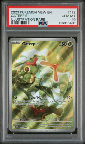 45162496