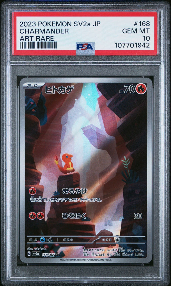 44564228