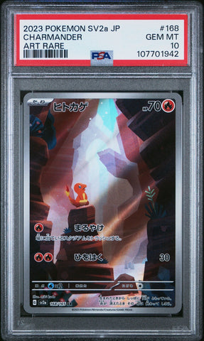 44564228