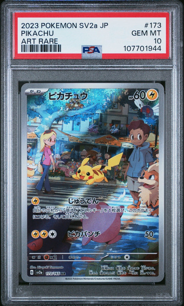 44568119