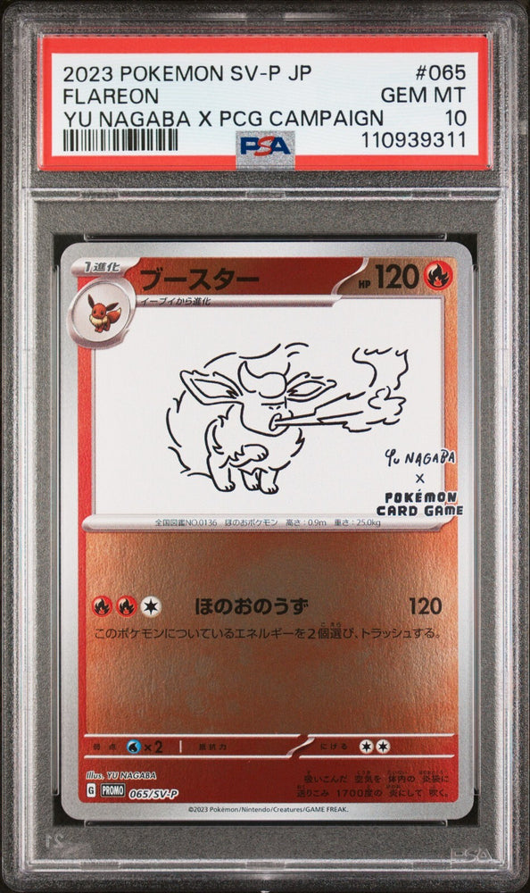 44631318
