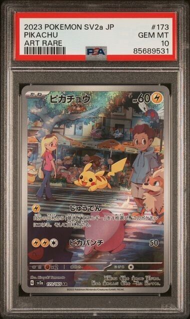 41146038