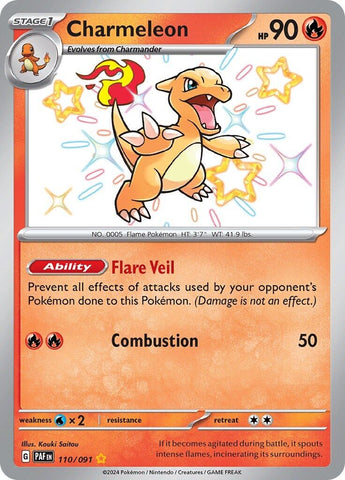 41145904