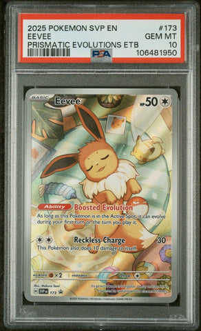 44187304