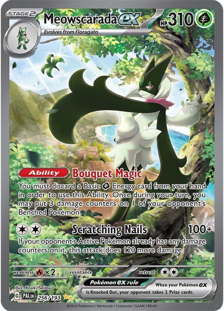 41146325