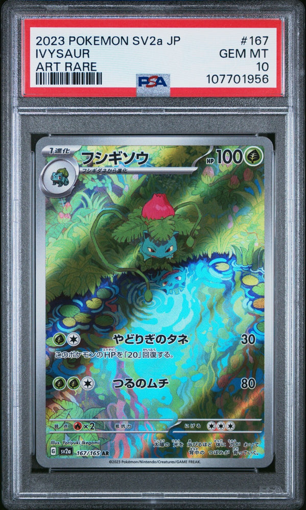 44568121