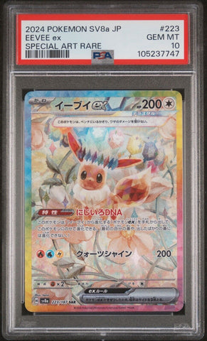 44191203