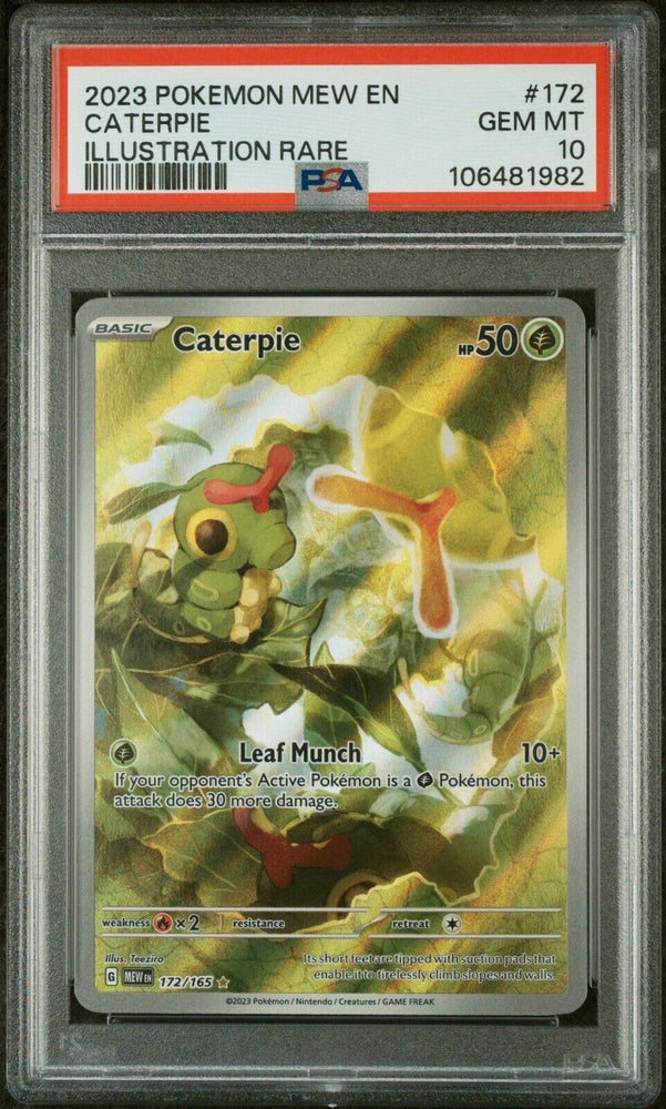 44187312