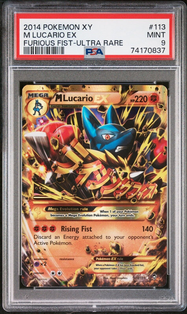 42520387