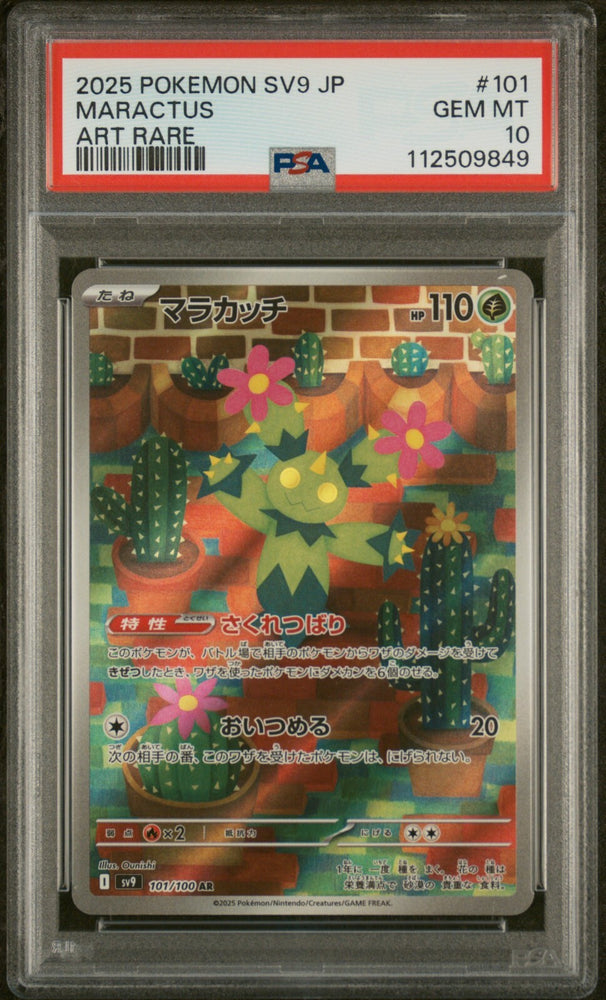 44886502