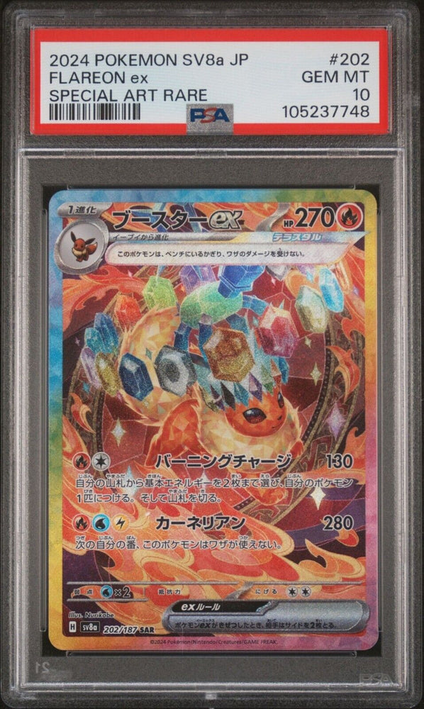 44191202