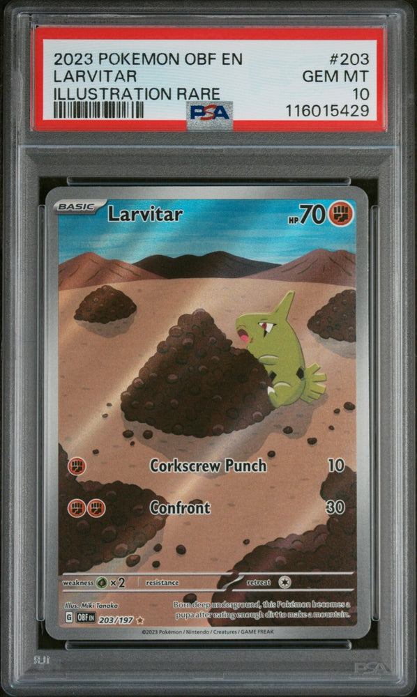 45162636