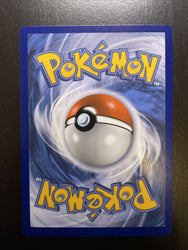 Charizard V (Full Art Holo Promo) SWSH Black Star Promos SWSH260 Poké